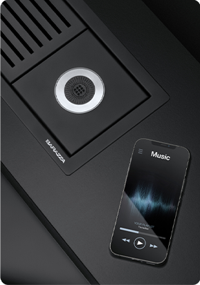 SPEAKER