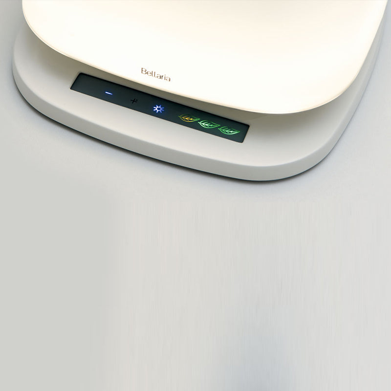 Bellaria Purifies Air